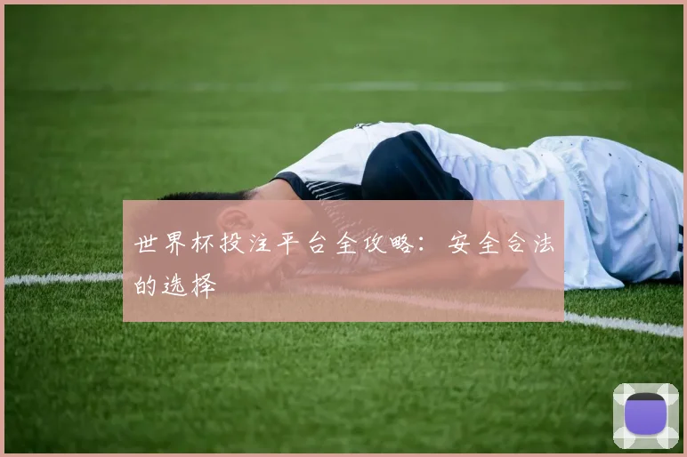 世界杯投注平台全攻略：安全合法的选择